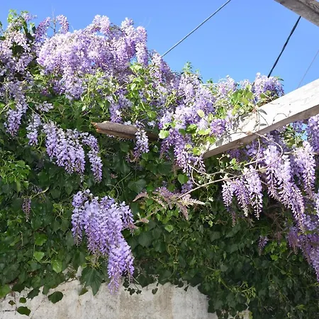 Pasha's Sarai Chania (Crete)